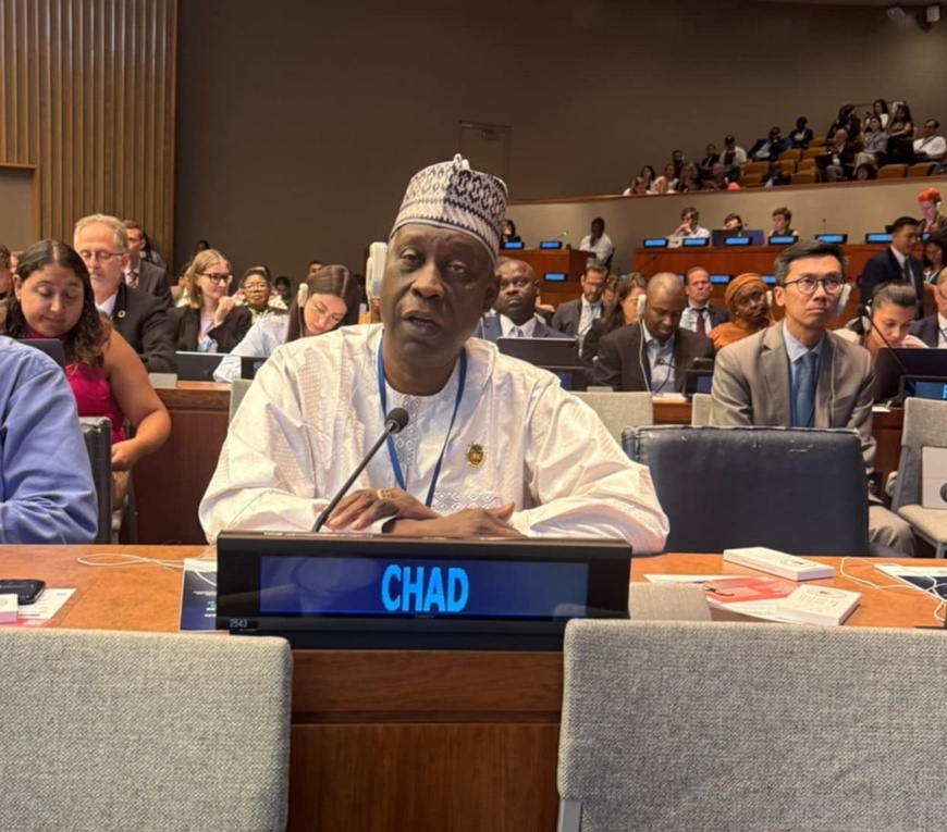 TCHAD – Forum politique : Dr Ahmat Mbodou Mahamat plaide pour un soutien financier en faveur du Tchad.