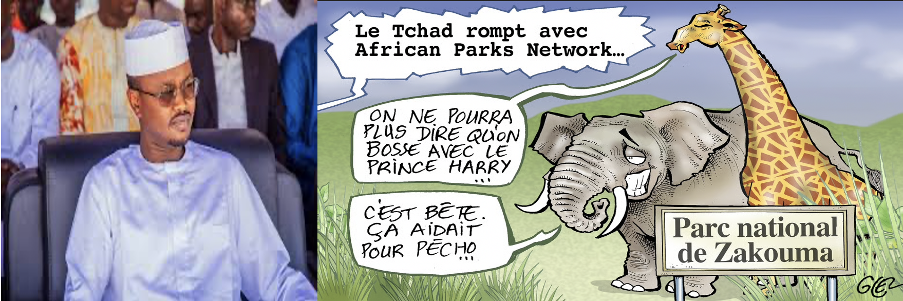 TCHAD : La lettre au vitriol du ministre de l’environnement à African Parks.