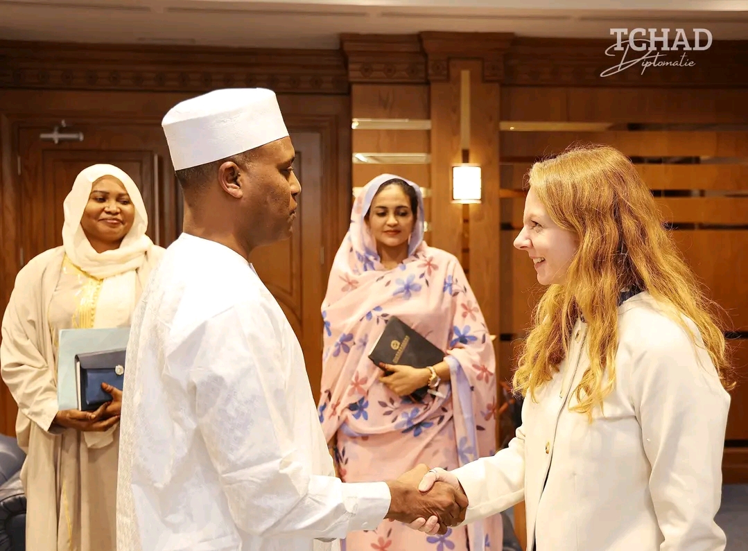 #TCHAD #Diplomatie : Le Tchad et le Royaume-Uni renforcent leur concertation