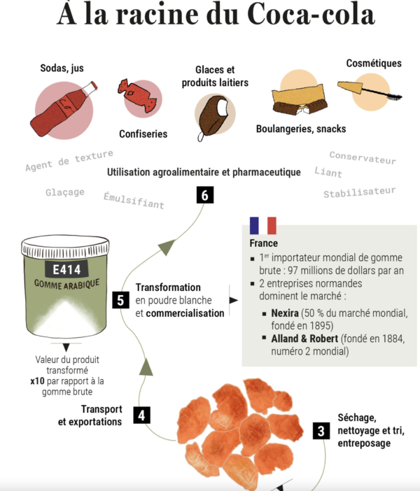 Du Darfour aux sodas : la gomme arabique prise en otage par la guerre au Soudan